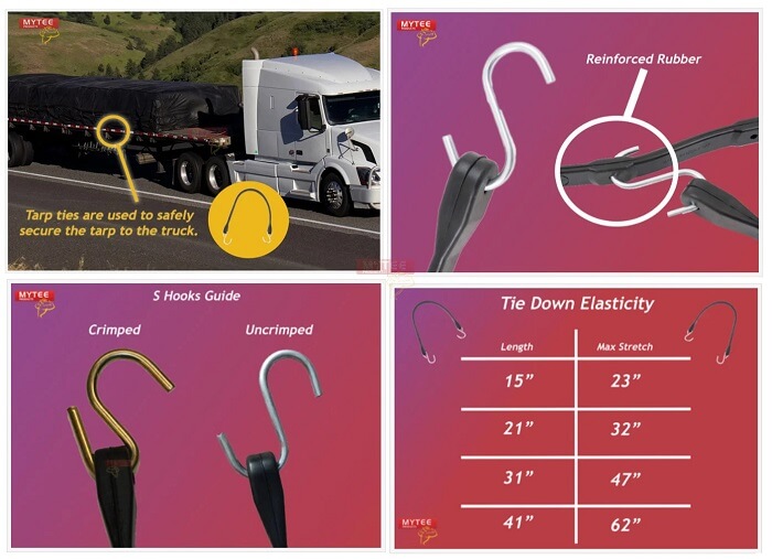 bungee-strap-infographic