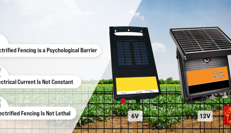 Things-You-Should-Know-About-Electrified-Fencing