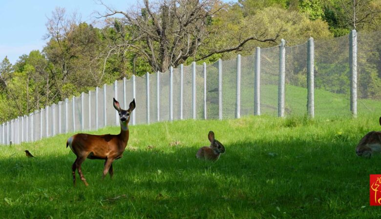 Your-Electrified-Fence-May-Someday-Auto-Adjust