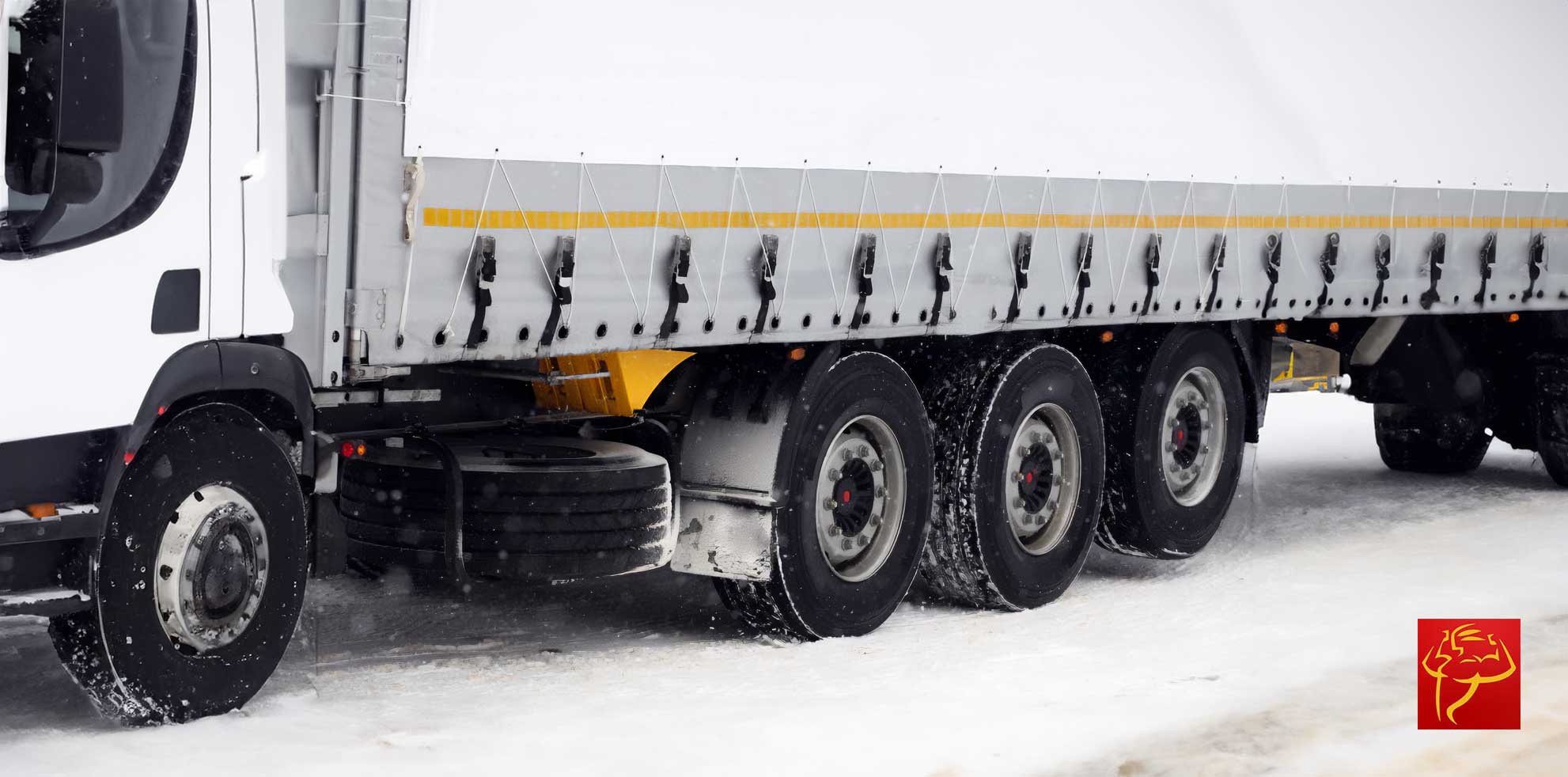 Know Reasons Why Tarps Get Brittle in Cold Weather