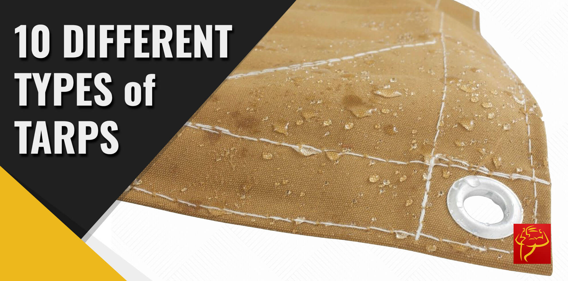 10 Types of Tarps Explained: Heavy Duty, Waterproof & Commercial Tarps