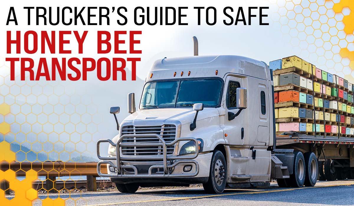A Trucker’s Guide to Safe Honey Bee Transport