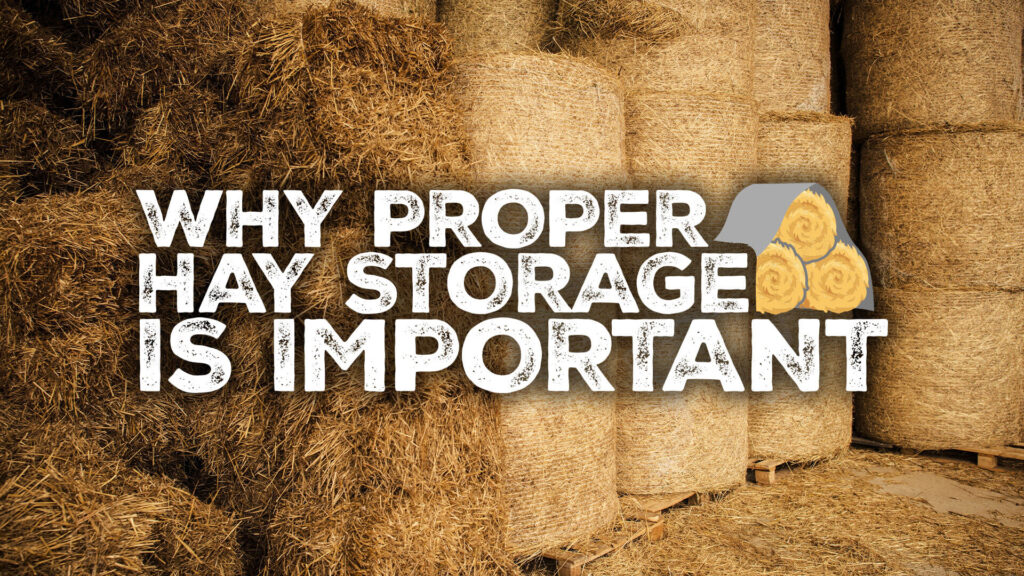 Hay Stacked inside a barn