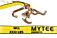 Winch Strap with Cluster Hook, Working Load Limit WLL 3333 lbs Close View by Mytee Products Winch Strap with Cluster Hook, Working Load Limit WLL 3333 lbs Close View by Mytee Products